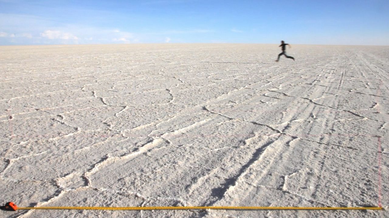 Die Zeit vergeht wie ein brüllender Löwe : Bild