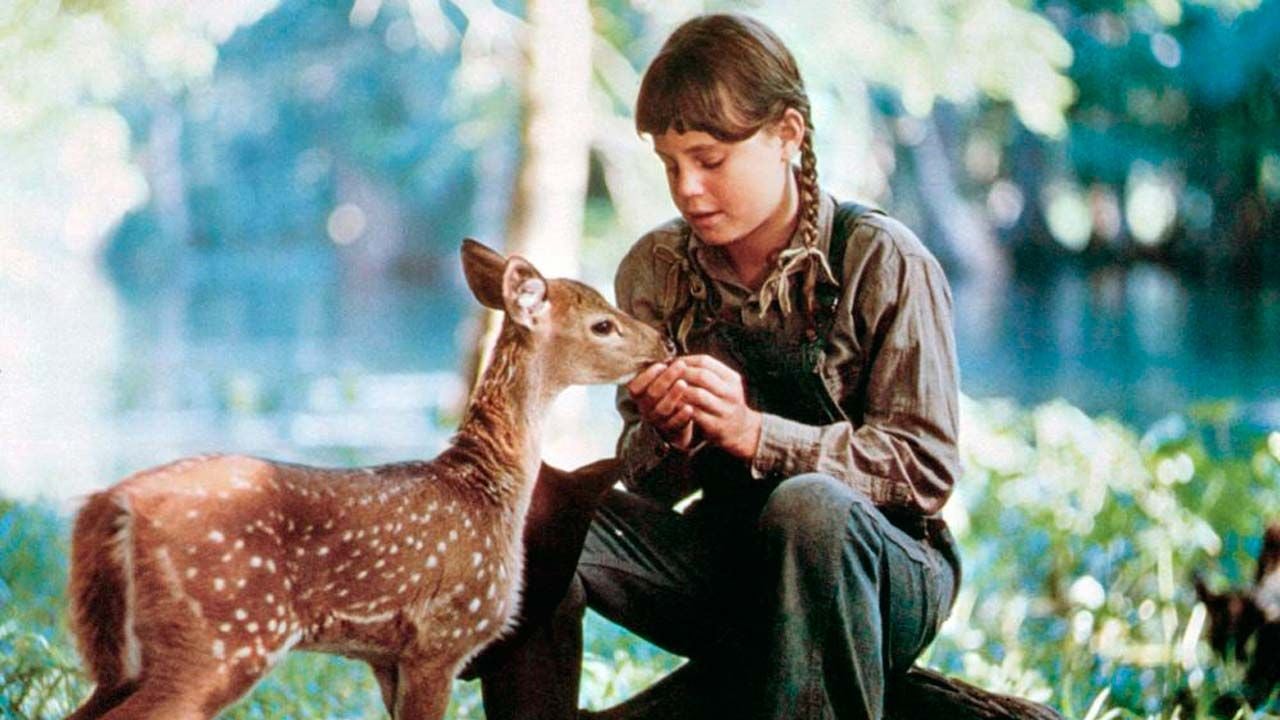 Cross Creek - Ich kämpfe um meine Freiheit : Bild