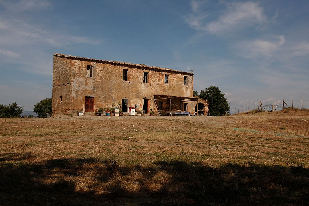 Land der Wunder : Bild