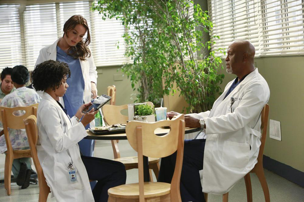 Grey's Anatomy - Die jungen Ärzte : Bild Camilla Luddington, James Pickens Jr., Kelly McCreary