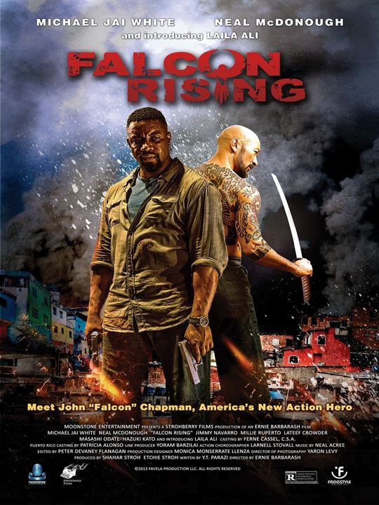 Falcon Rising : Kinoposter