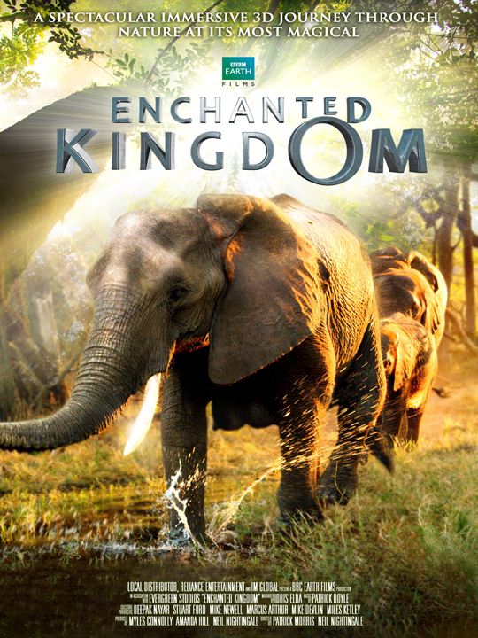 Afrika - Das magische Königreich : Kinoposter