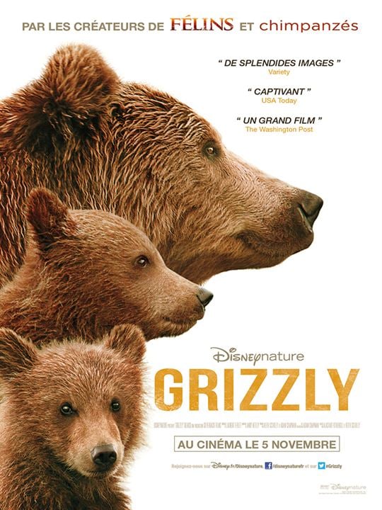 Bären : Kinoposter