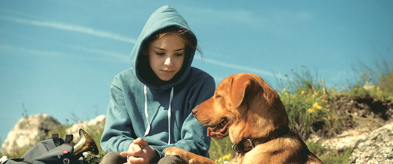 Underdog : Bild Zsófia Psotta