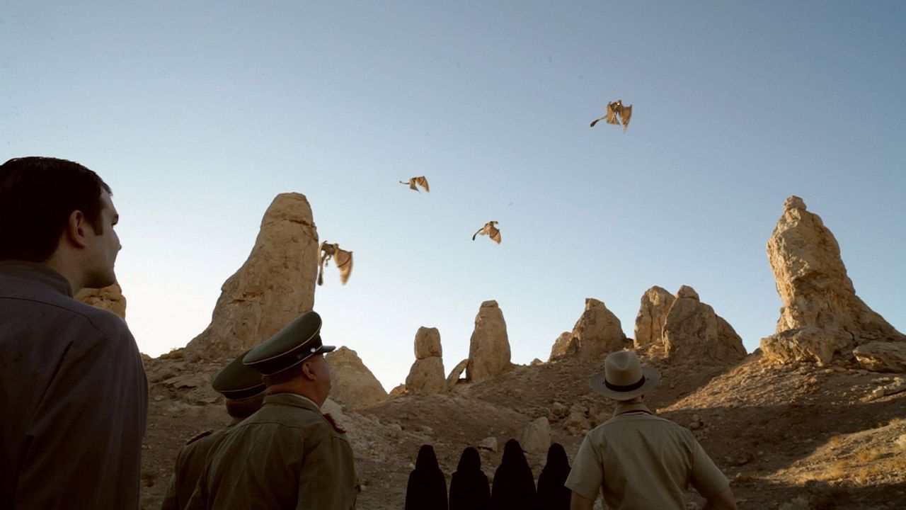 P-51 Dragon Fighter : Bild