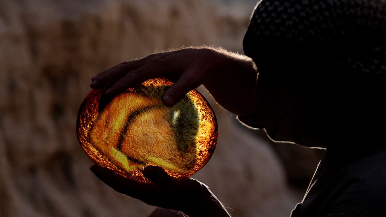 P-51 Dragon Fighter : Bild