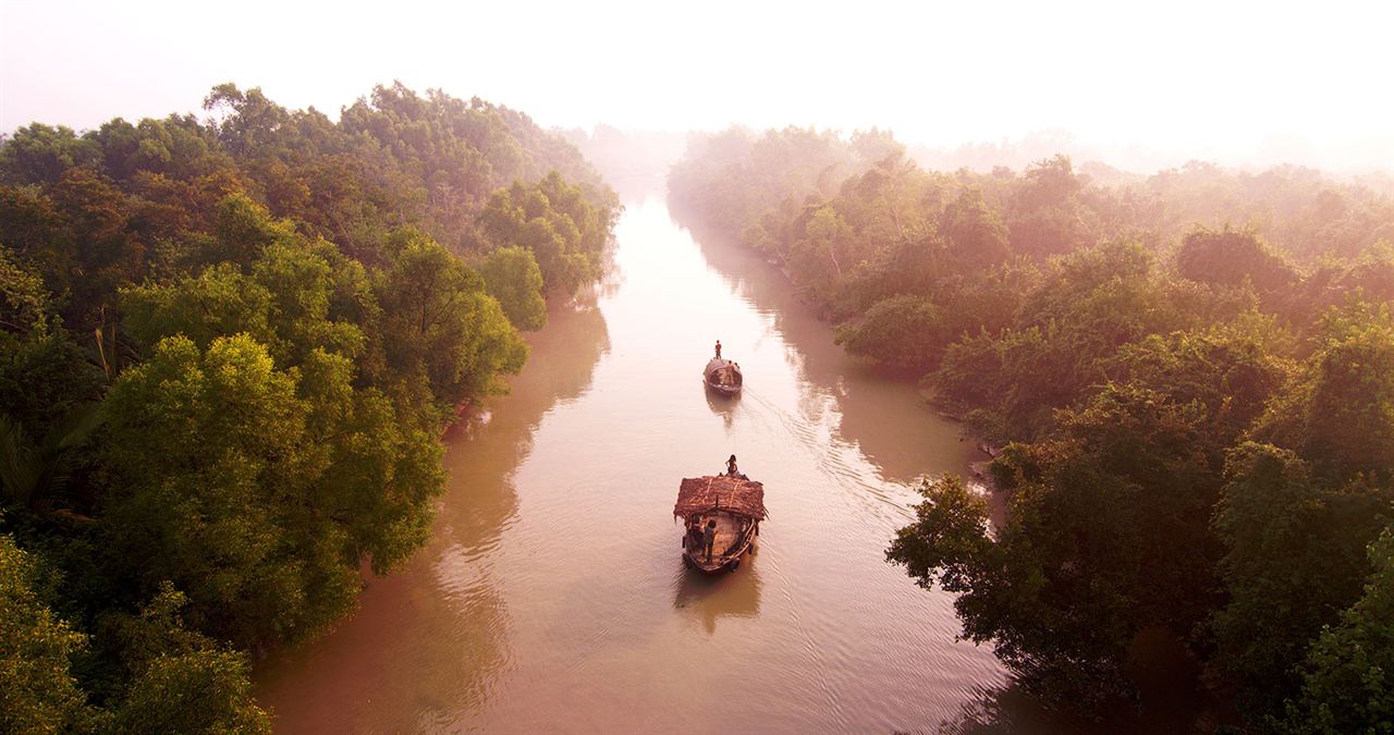 ROAR – Tigers of Sundarbans : Bild