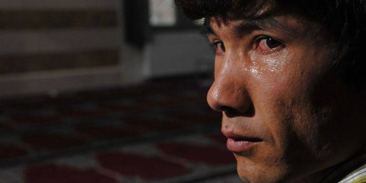 Letter To The King : Bild