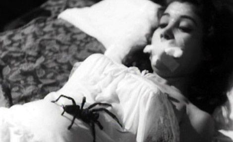 This Night I'll Possess Your Corpse : Bild