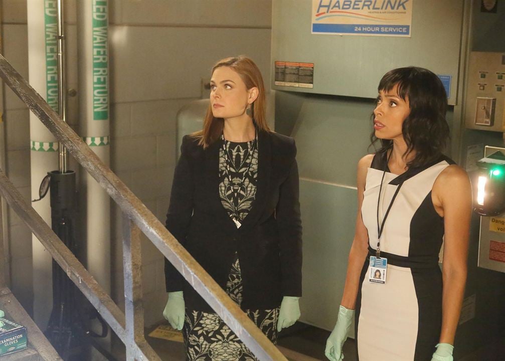 Bones - Die Knochenjägerin : Bild Tamara Taylor, Emily Deschanel