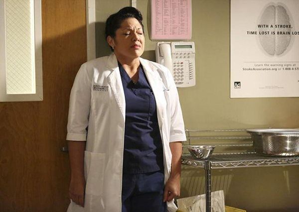 Grey's Anatomy - Die jungen Ärzte : Bild Sara Ramirez