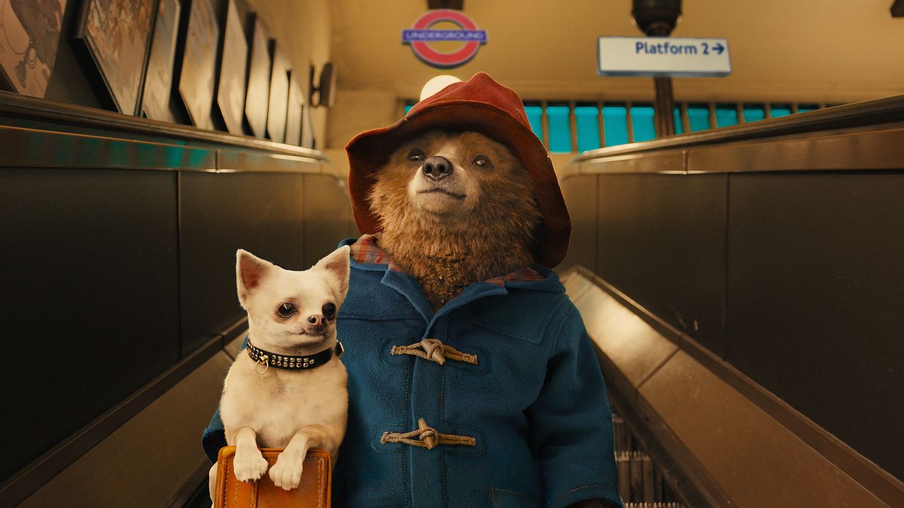 Paddington : Bild
