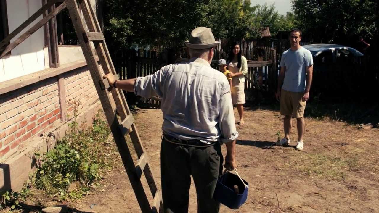 Câinele Japonez : Bild