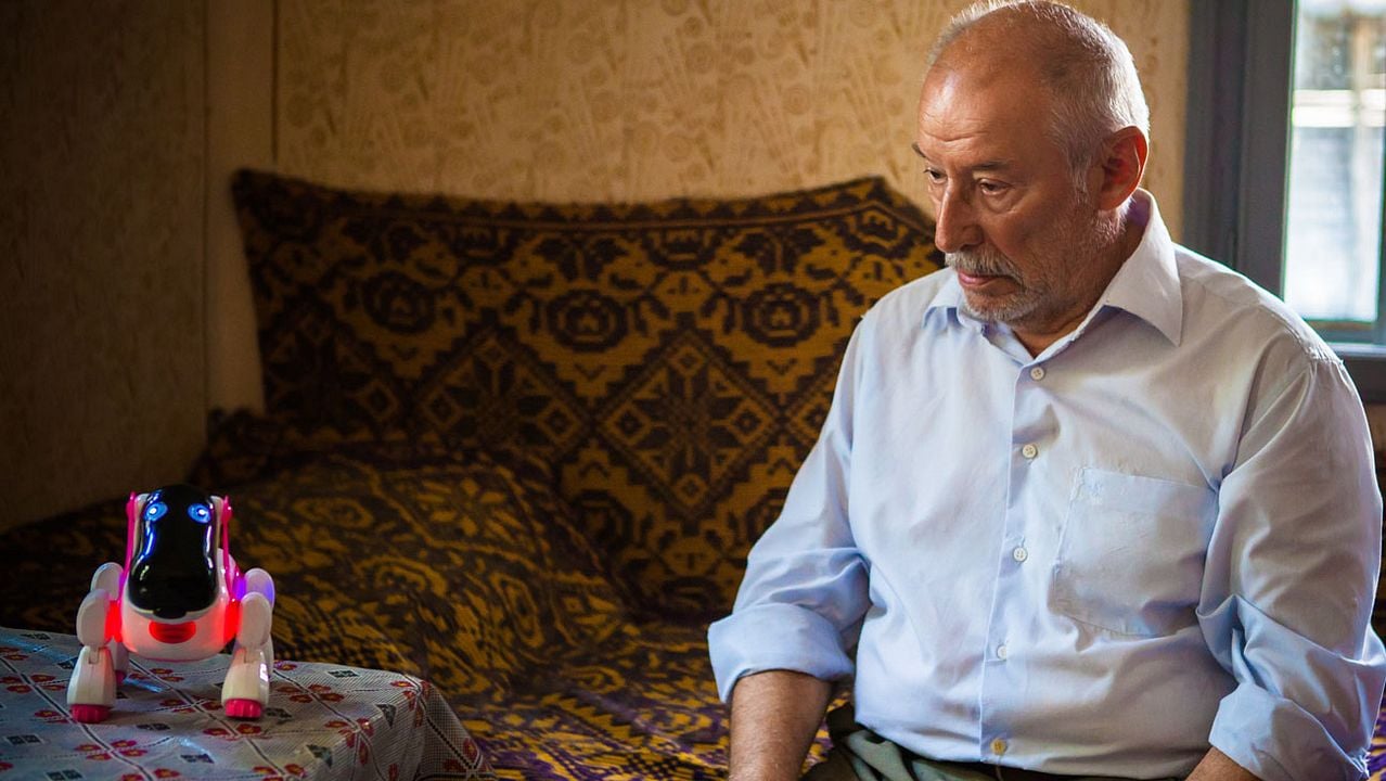 Câinele Japonez : Bild