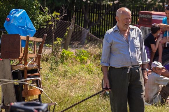 Câinele Japonez : Bild