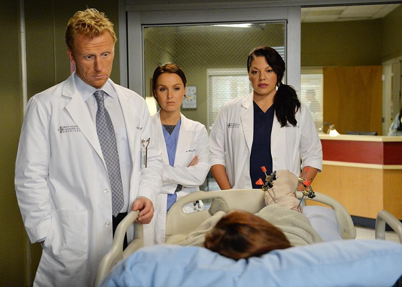 Grey's Anatomy - Die jungen Ärzte : Bild Kevin McKidd, Sara Ramirez, Camilla Luddington
