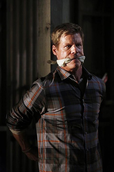 Marvel's Agents Of S.H.I.E.L.D. : Bild Joel Gretsch