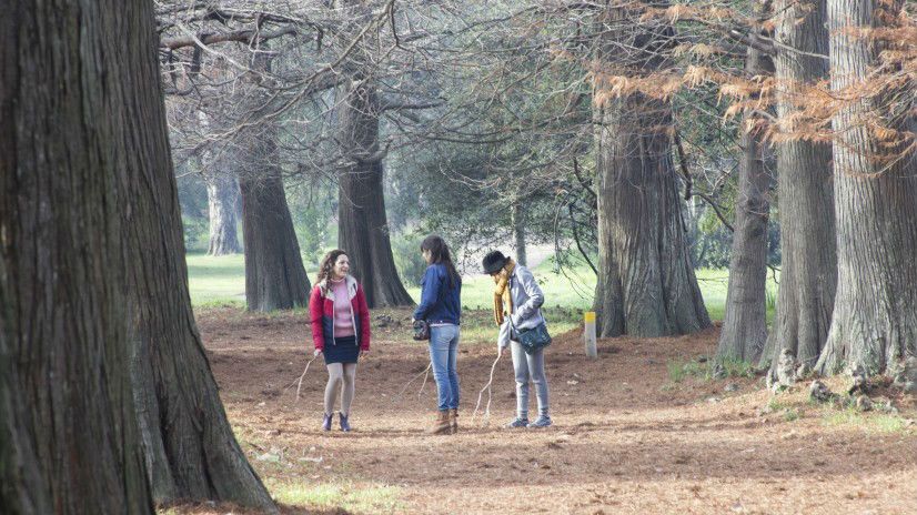 Mi Amiga Del Parque : Bild
