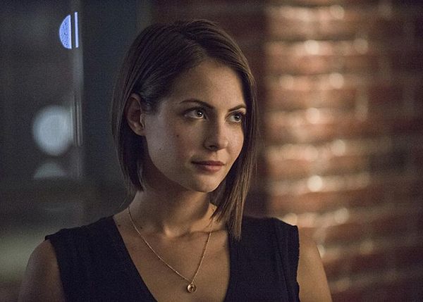 Arrow : Bild Willa Holland