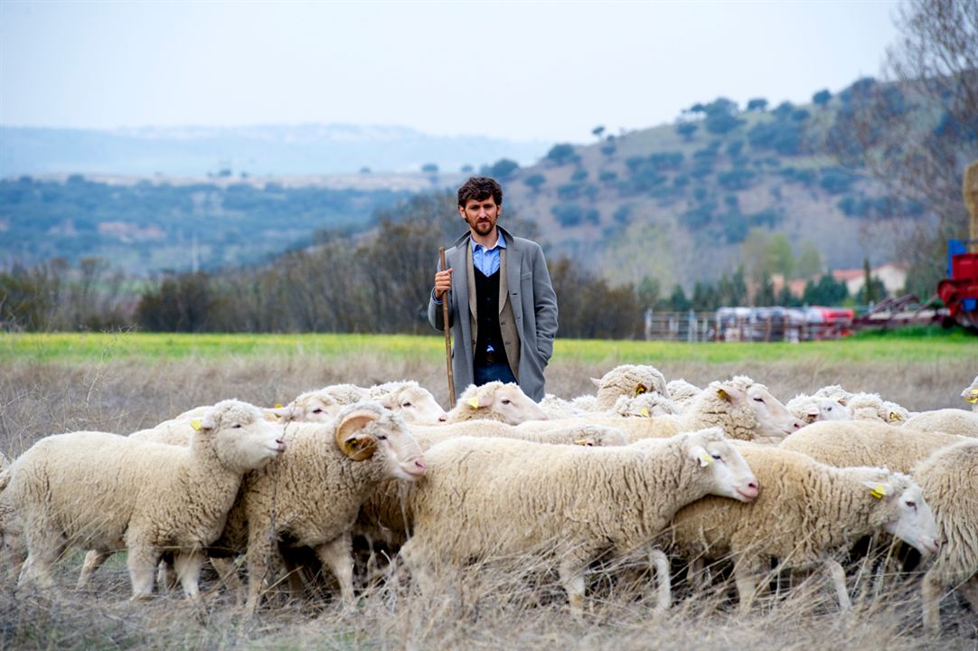 Las ovejas no pierden el tren : Bild Raúl Arévalo