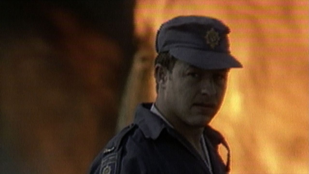 Plot for Peace : Bild