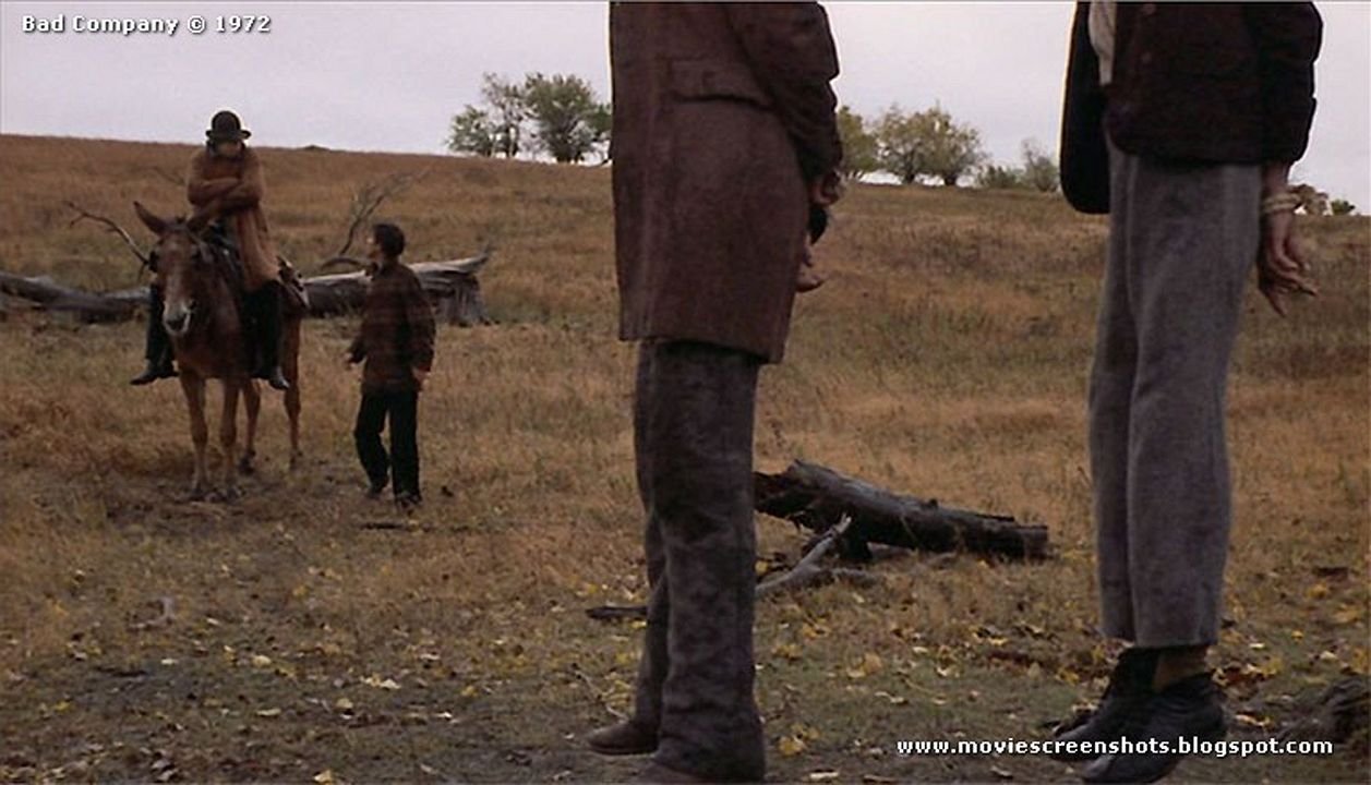 In schlechter Gesellschaft : Bild