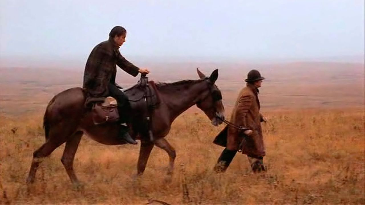 In schlechter Gesellschaft : Bild