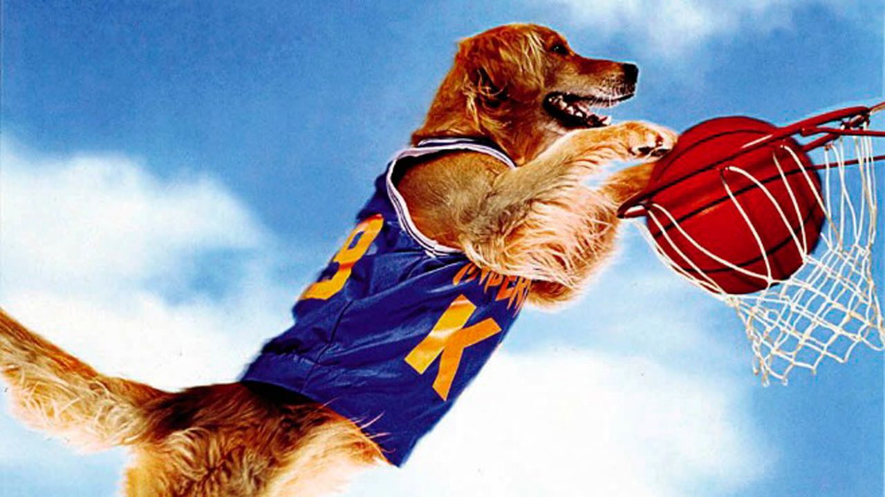 Air Bud 2: Golden Receiver : Bild