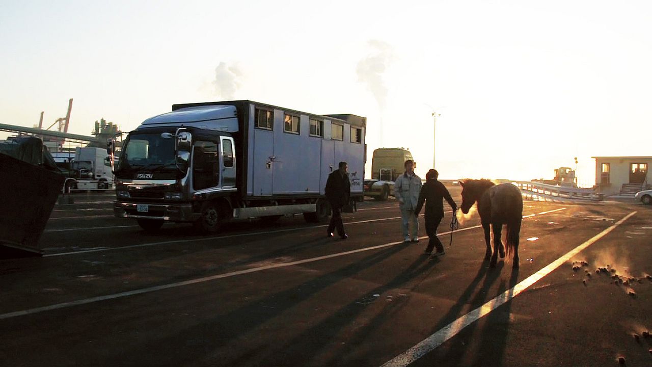 The Horses of Fukushima : Bild