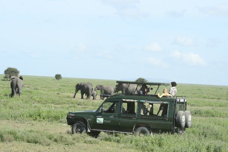 Tanzania: A Journey Within : Bild