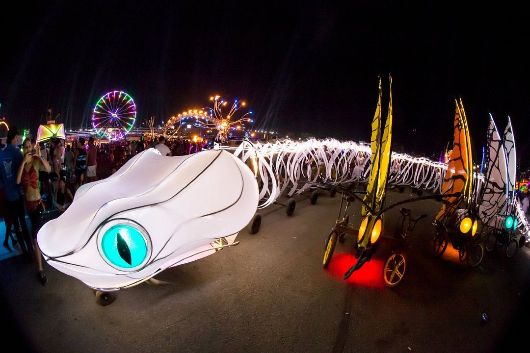 Under the Electric Sky : Bild