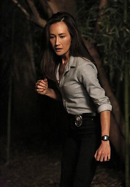 Stalker : Bild Maggie Q