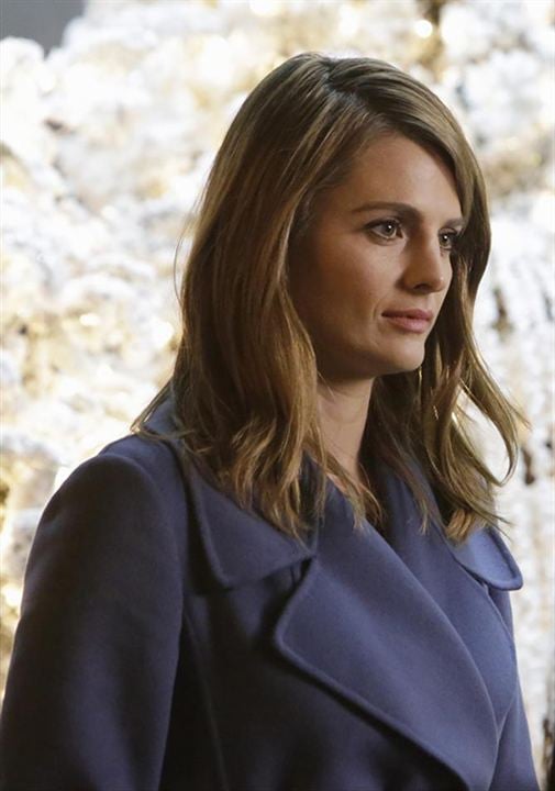 Bild Stana Katic