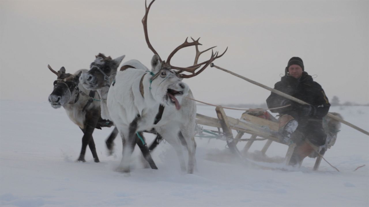 Die Hüter der Tundra : Bild