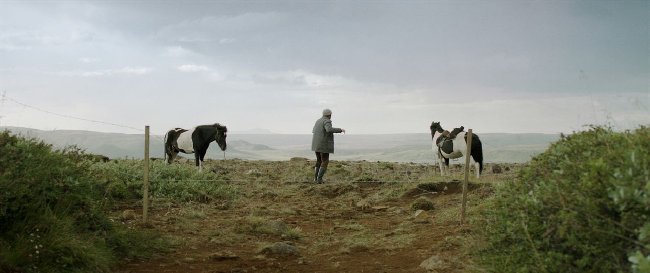 Von Menschen und Pferden : Bild Kjartan Ragnarsson