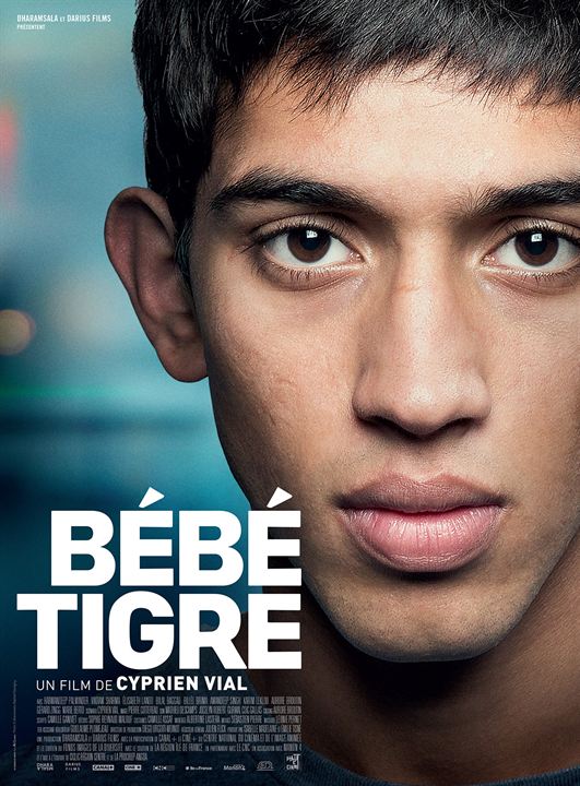 Bébé Tigre : Kinoposter