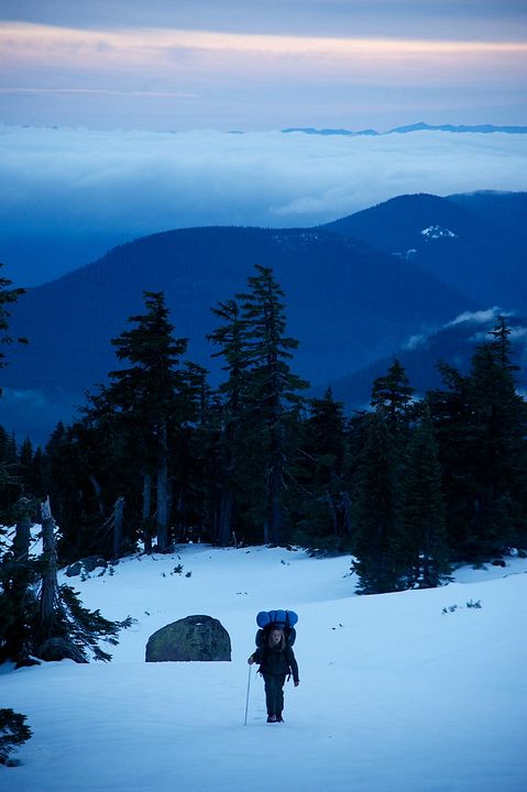 Der große Trip - Wild : Bild