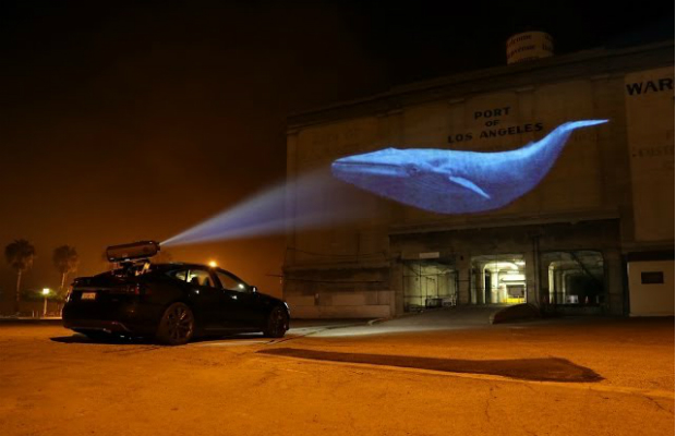 Racing Extinction : Bild