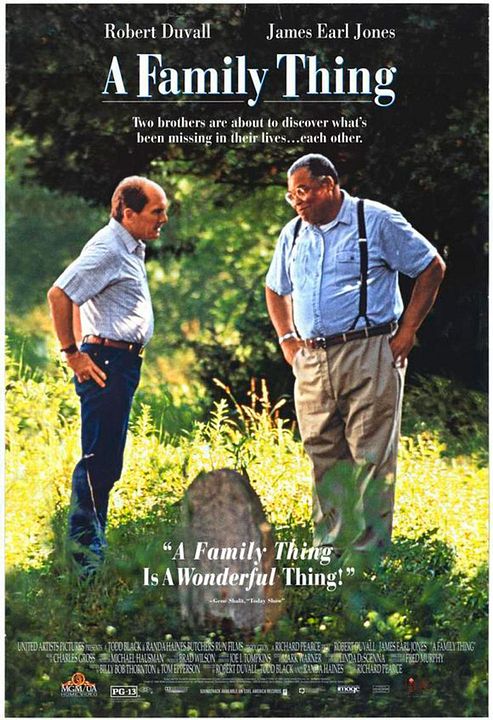 Brüder wider Willen : Kinoposter