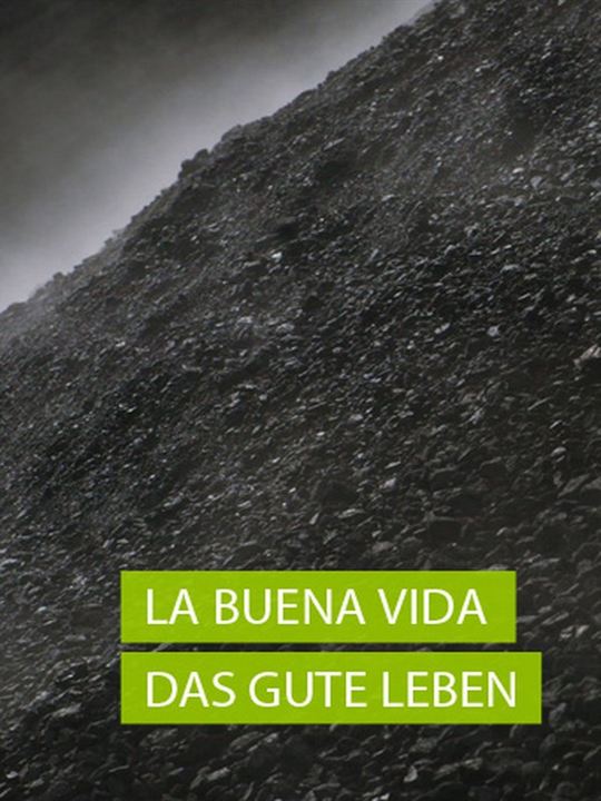 La Buena Vida - Das gute Leben : Kinoposter