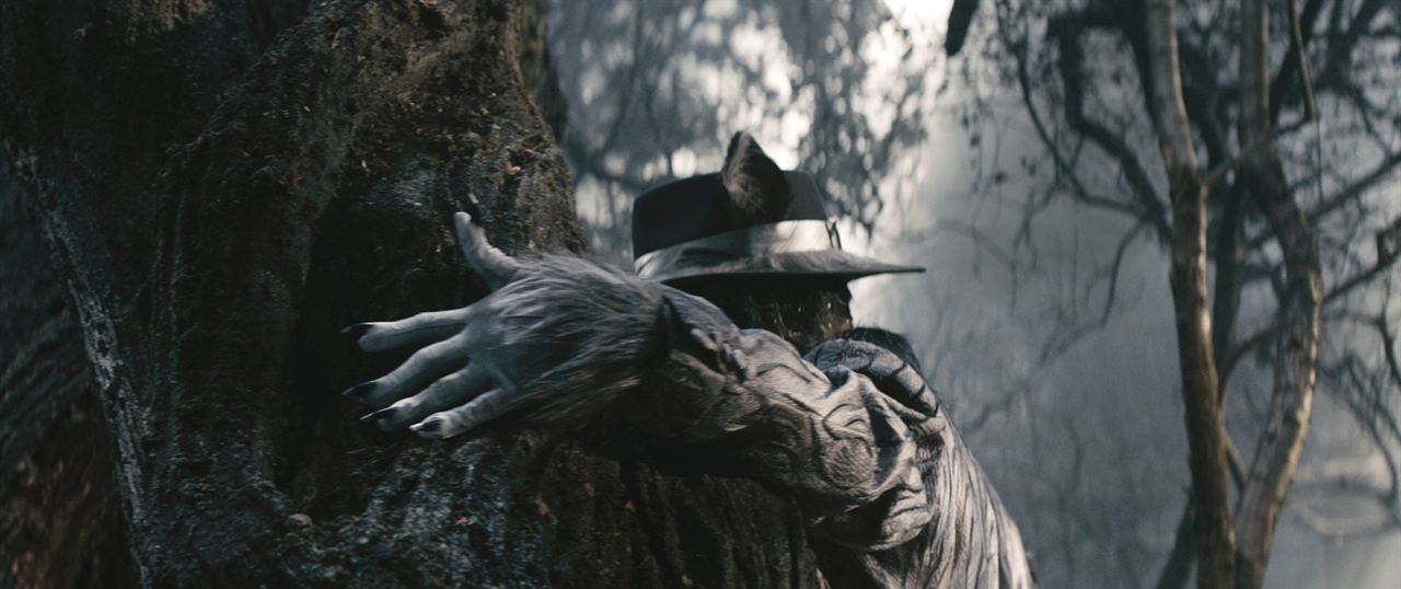 Into The Woods : Bild Johnny Depp