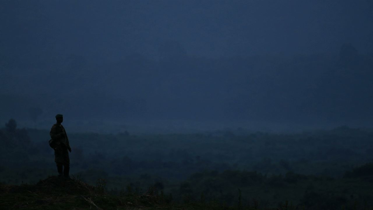 Virunga : Bild