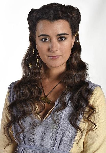 Bild Cote De Pablo