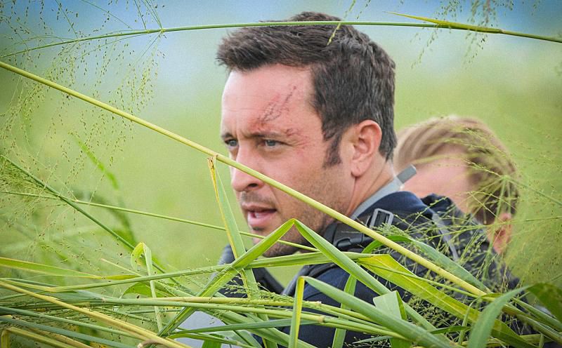 Hawaii Five-0 : Bild Alex O'Loughlin