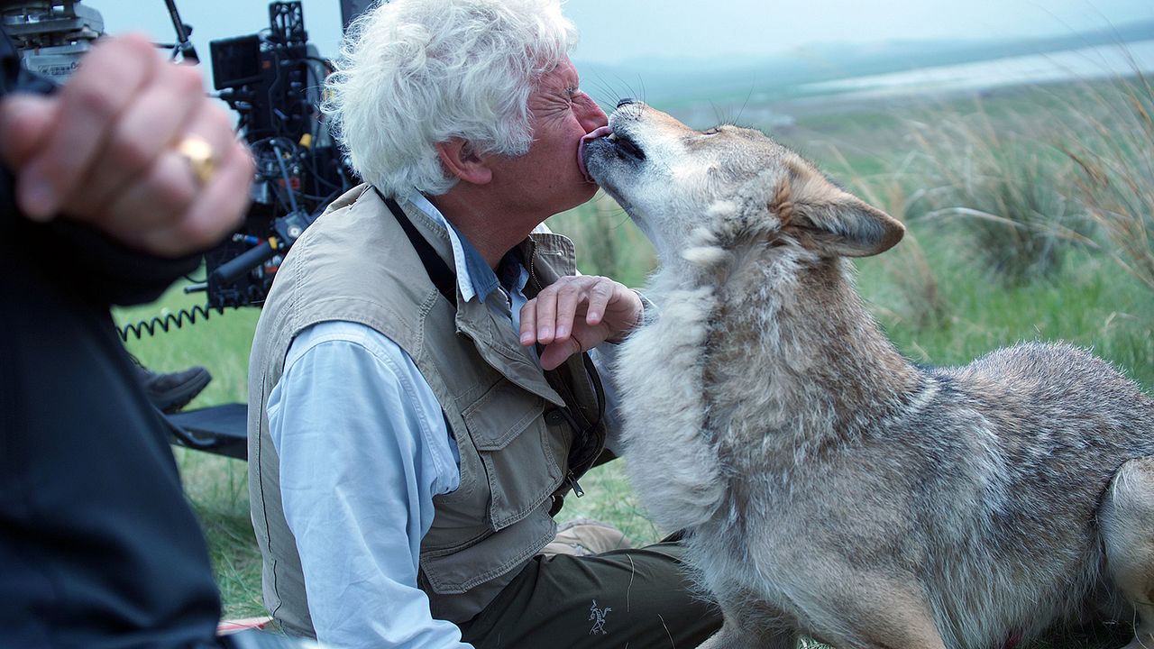 Der letzte Wolf : Bild Jean-Jacques Annaud