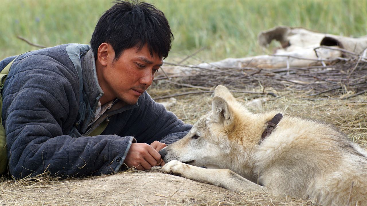 Der letzte Wolf : Bild Feng Shaofeng