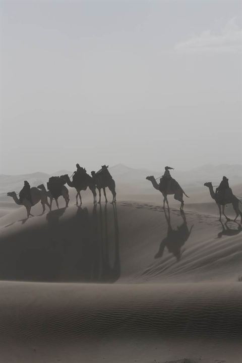 Königin der Wüste : Bild