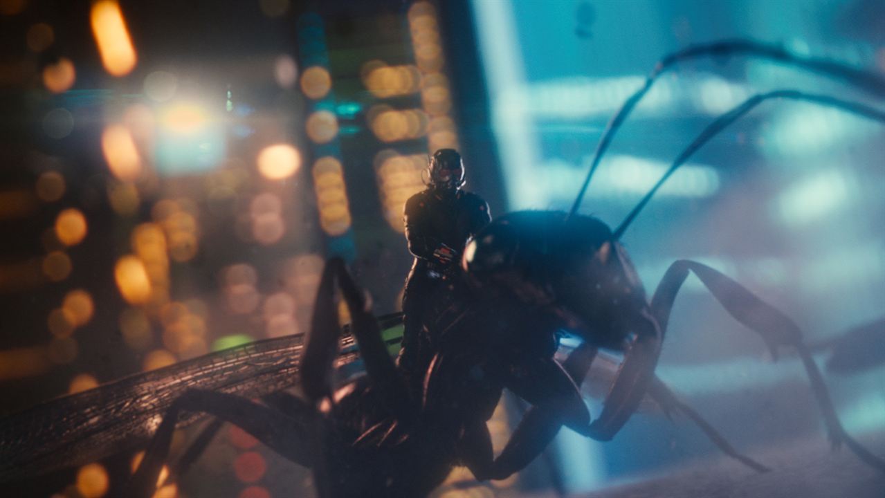 Ant-Man : Bild Paul Rudd