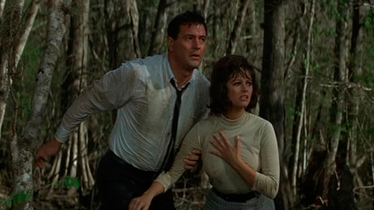 New York Express : Bild