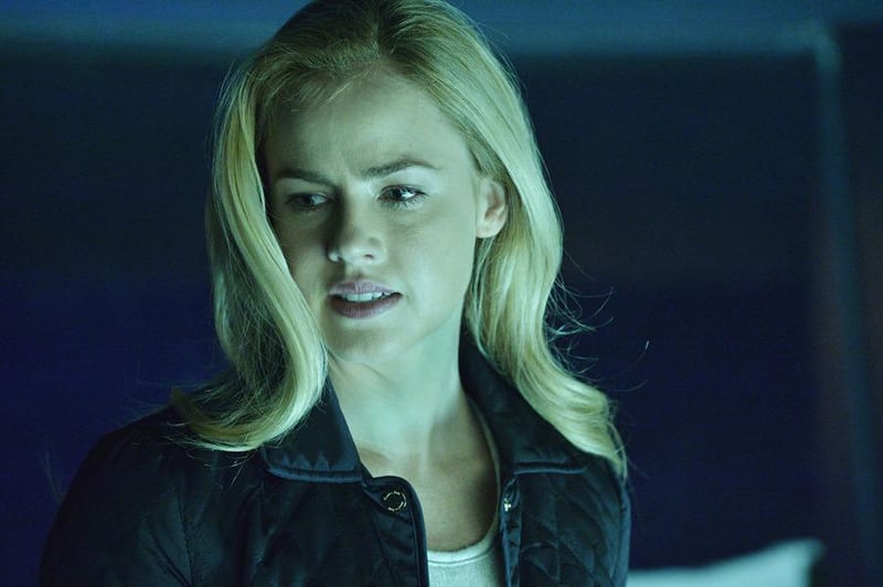 12 Monkeys : Bild Amanda Schull